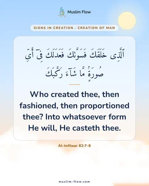 Al-Infitaar 82:7-8: Who created thee, then fashioned, then proportioned thee? Into whatsoever form He will, He casteth…