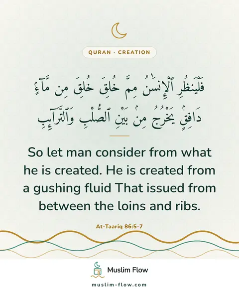 At-Taariq 86:5-7: So let man consider from what he is created. He is created from a gushing fluid That issued from…