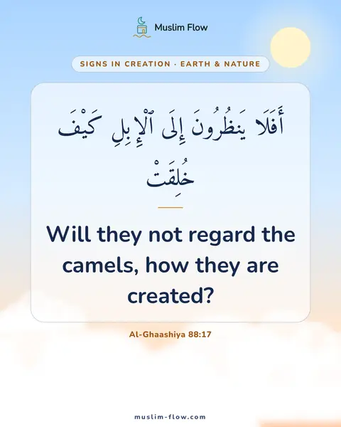 Al-Ghaashiya 88:17: Will they not regard the camels, how they are created?